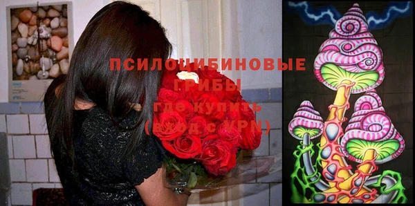 кокс Армянск