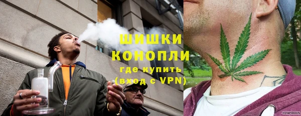 амф Арсеньев