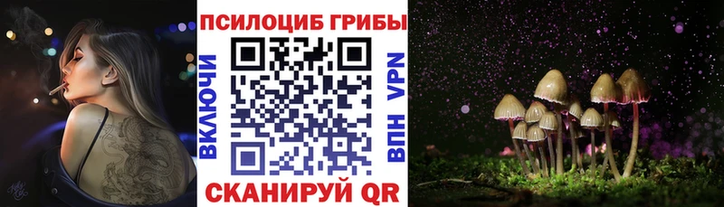 Псилоцибиновые грибы прущие грибы  наркошоп  Югорск 
